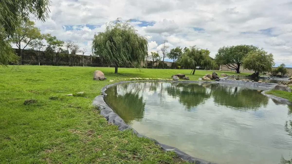 Terreno en venta en San Bernardino Tlaxcalancingo, San Andrés Cholula — foto 1 de 8