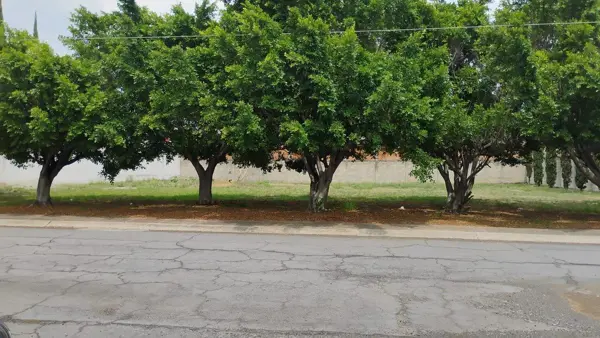 Terreno en venta en Cortijo de la Alfonsina, Atlixco — foto 2 de 8
