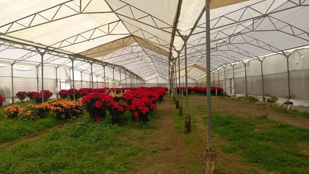 Terreno en renta en San Agustín Ixtahuixtla, Atlixco — foto 1 de 5