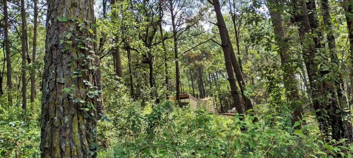 Terreno en venta en Avandaro, Valle de Bravo — foto 1 de 13