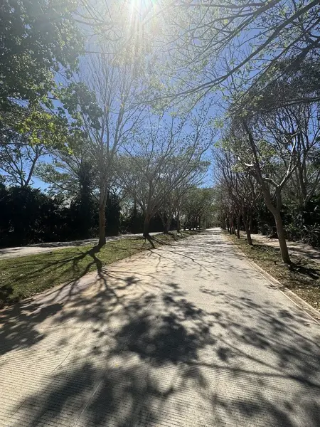 Terreno en venta en Cabo Norte, Mérida — foto 2 de 42