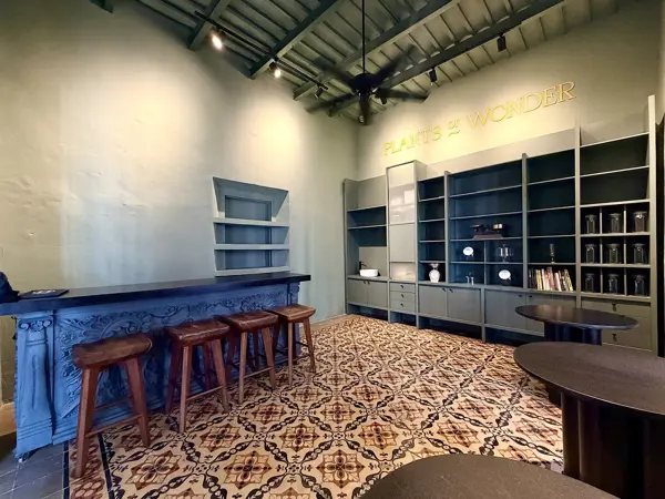 Casa en venta en Merida Centro, Mérida — foto 2 de 38