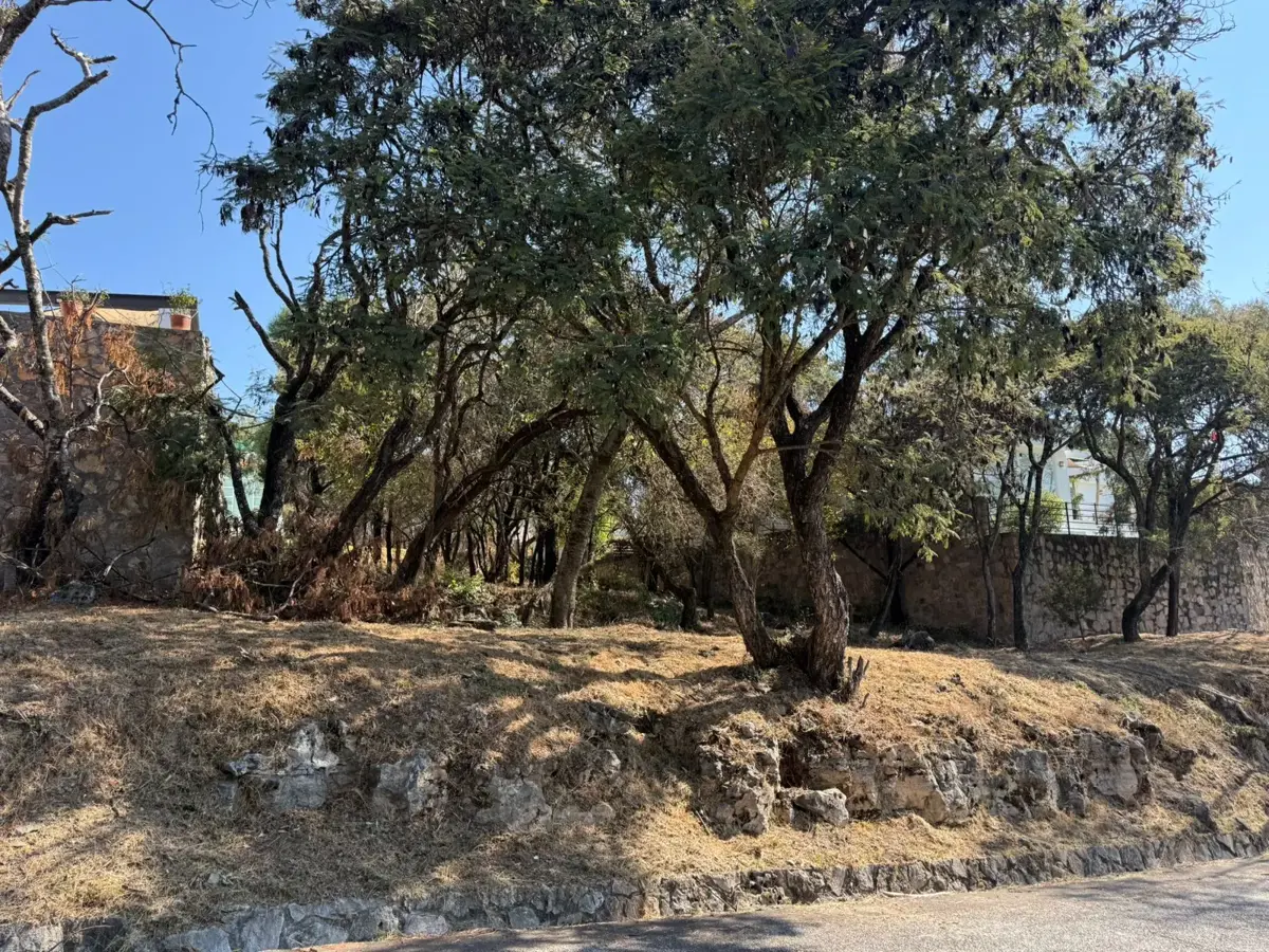 Terreno en venta en Ixtapan de la Sal, Ixtapan de la Sal — foto 1 de 7