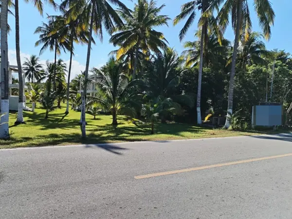 Terreno en venta en San Crisanto, Sinanché — foto 3 de 21