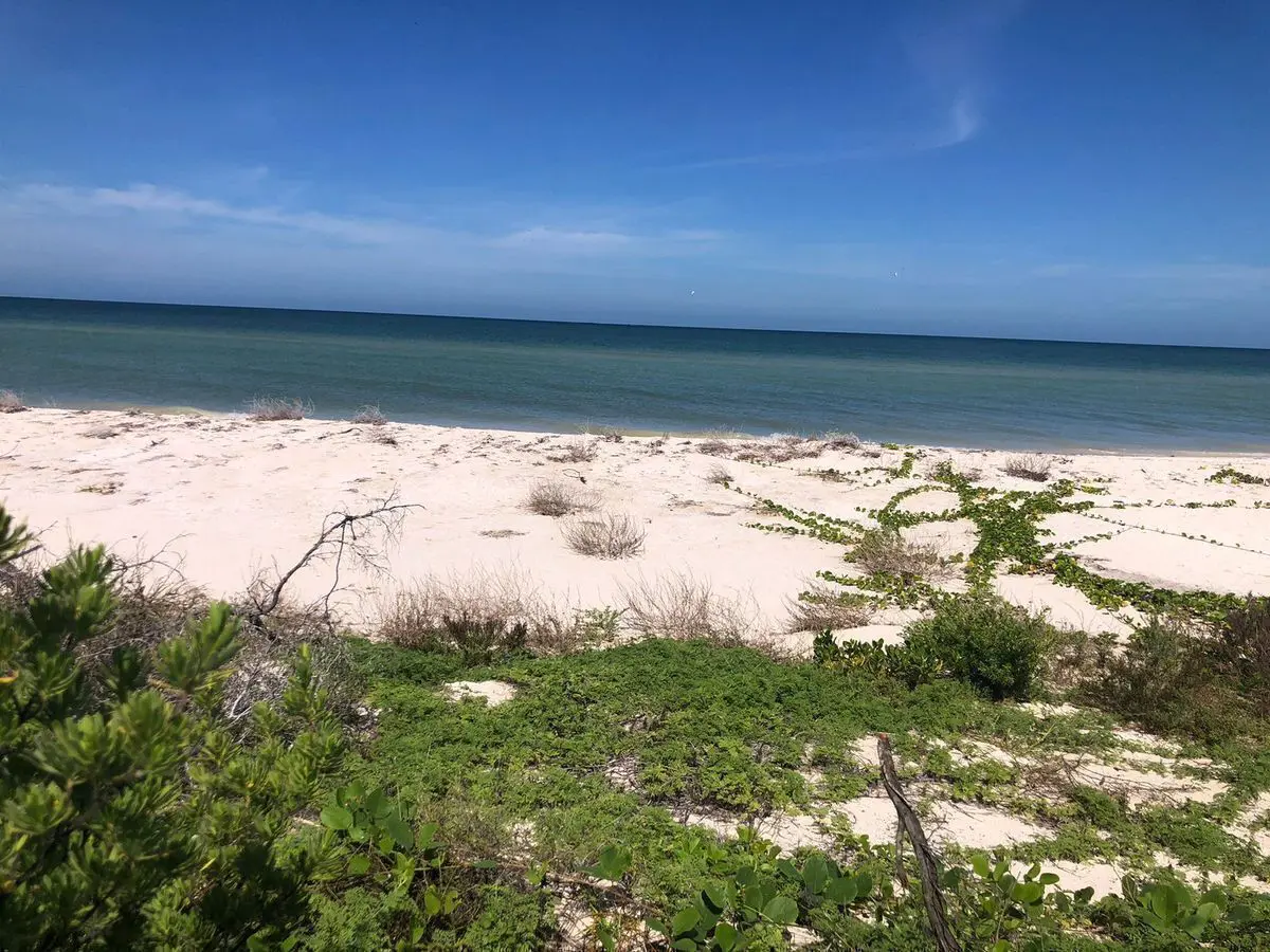 Terreno en venta en Sisal, Hunucmá — foto 1 de 19
