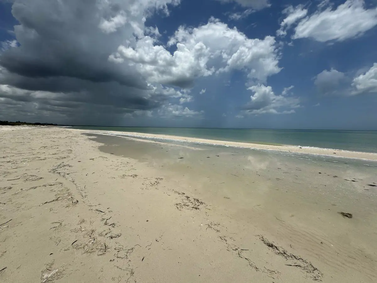Terreno en venta en Sisal, Hunucmá — foto 1 de 15