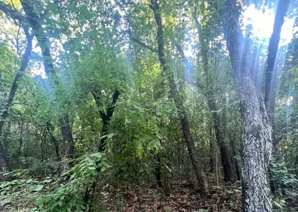 Terreno en venta en Olinala, San Pedro Garza García — foto 2 de 6