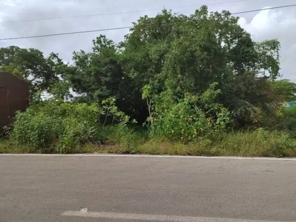 Terreno en renta en Conkal, Conkal — foto 2 de 16