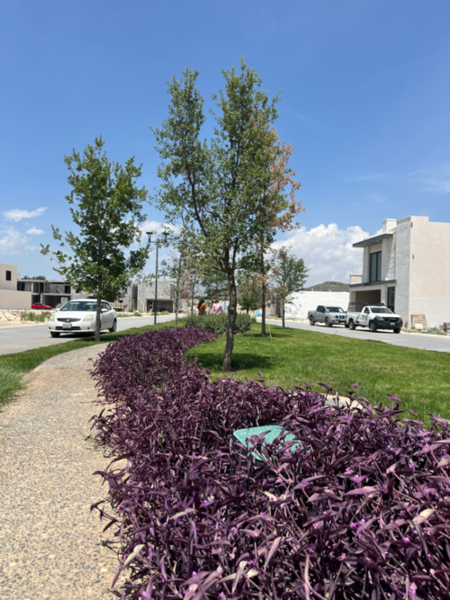 Terreno en venta en Seterra Residencial, Saltillo — foto 3 de 5