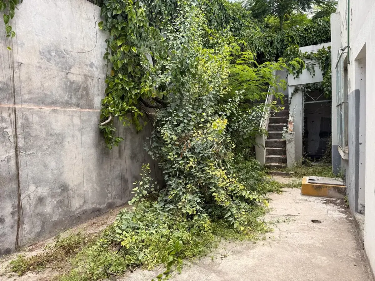 Foto 5