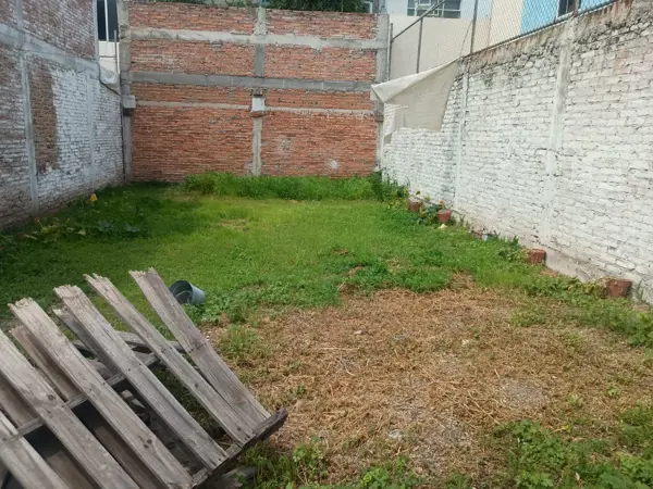 Terreno en venta en Zona de Oro, Celaya — foto 2 de 3