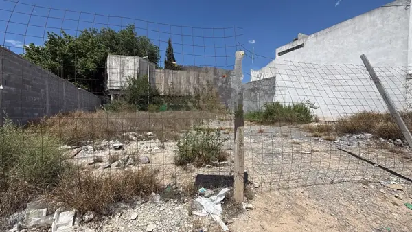 Terreno en Venta en Los Pinos, Saltillo, Coahuila de Zaragoza 3