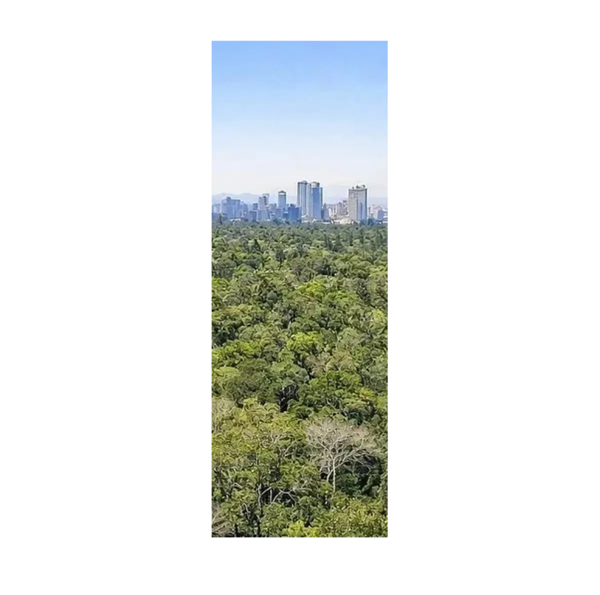 Terreno en venta en San Miguel Chapultepec I Sección, Miguel Hidalgo — foto 1 de 3