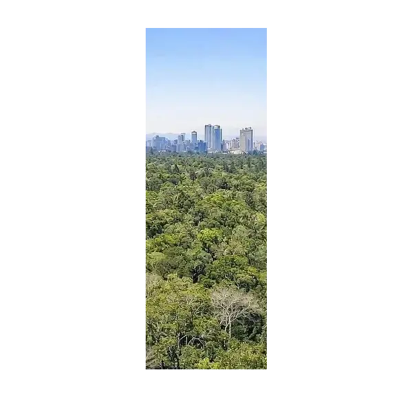 Terreno en venta en San Miguel Chapultepec I Sección, Miguel Hidalgo — foto 2 de 3