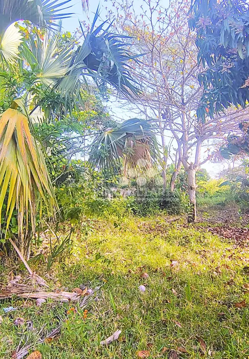 Terreno en venta en Medellin y Pigua 1ra. Sección, Centro — foto 1 de 7