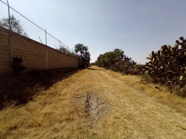 Terreno en venta en Morelos B, Nopaltepec — foto 2 de 10