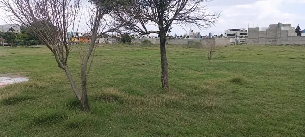 Terreno en venta en Benito Juarez, Tepeapulco — foto 2 de 15
