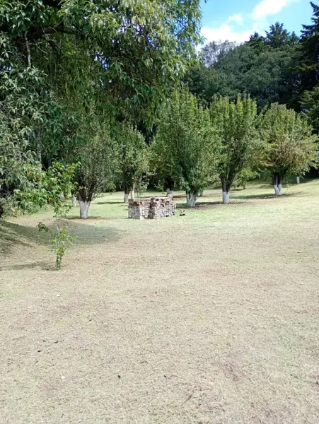 Terreno en venta en San Nicolás el Oro (San Nicolás), El Oro — foto 3 de 30