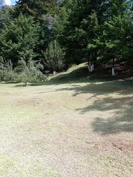 Terreno en venta en San Nicolás el Oro (San Nicolás), El Oro — foto 2 de 30