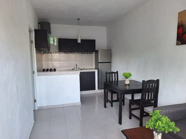 DEPARTAMENTO EN RENTA VERGEL II