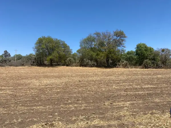 TERRENO EN VENTA EN NOPALA DE VILLAGRAN HIDALGO