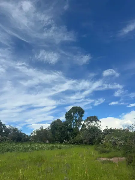 Terreno en venta en Denthó, Nopala de Villagrán — foto 3 de 11