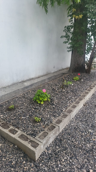 Casa en venta en El Vergel, Parras — foto 3 de 12