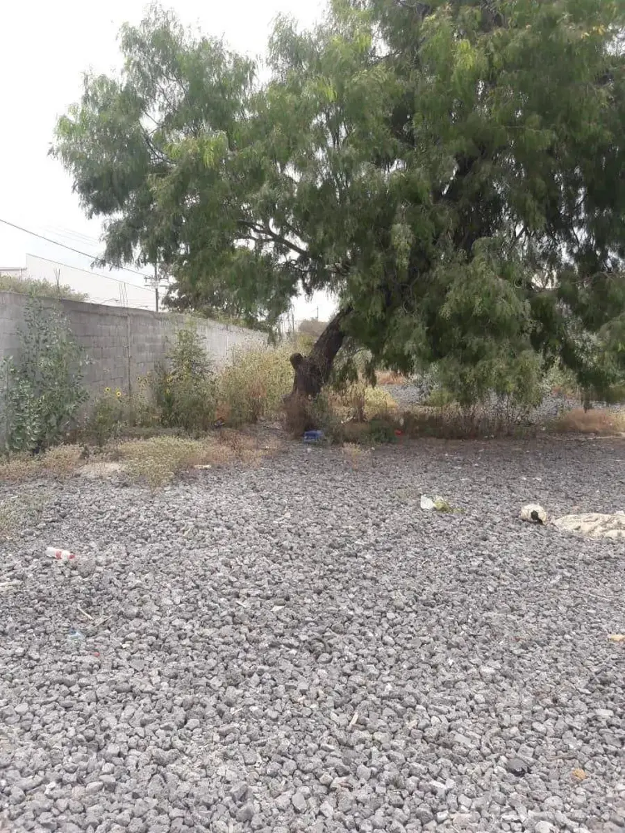Terreno en renta en Parque Industrial Ciudad Mitras, García — foto 1 de 3