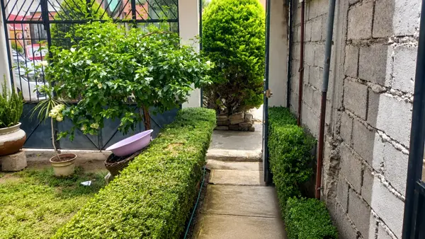 Casa en venta en Ciudad Cuatro Vientos, Ixtapaluca — foto 2 de 11