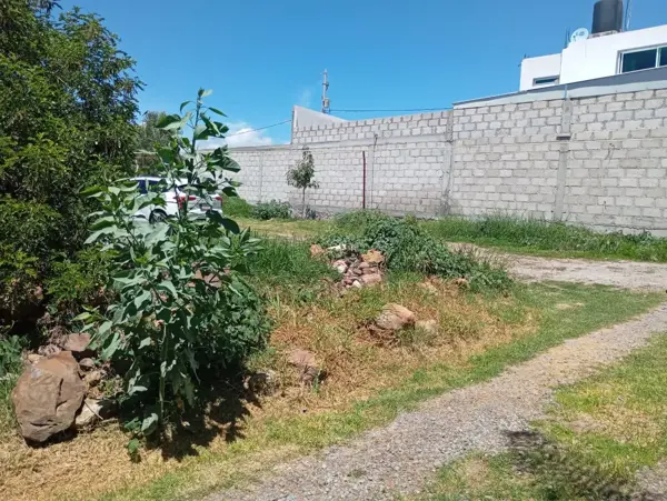 Terreno en venta en San Pedro Huaquilpan, Zapotlán de Juárez — foto 2 de 8