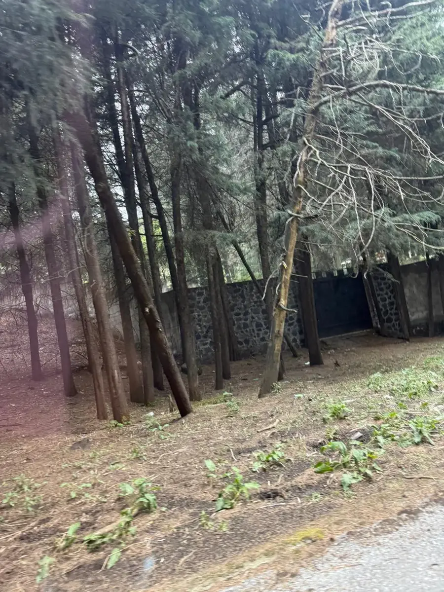 Terreno en venta en San Miguel Ajusco, Tlalpan — foto 1 de 8