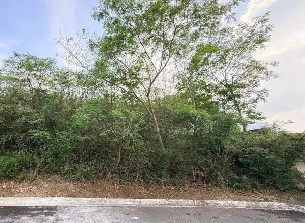 Terreno en venta en Sierra Alta, Monterrey — foto 3 de 14