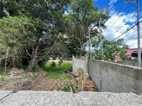 Terreno en venta en Los Alcanfores, San Cristóbal de las Casas — foto 3 de 4