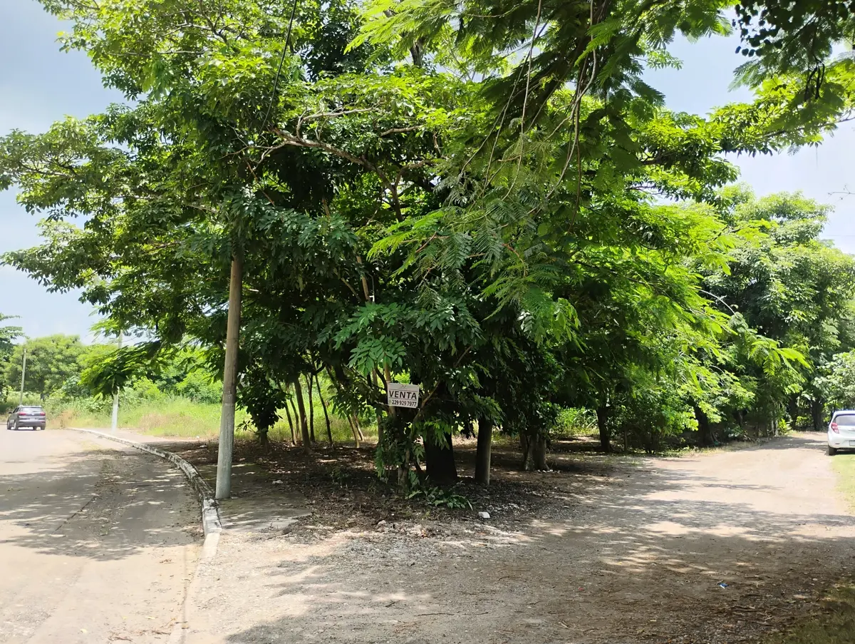 Terreno en venta en Buenavista, Veracruz — foto 1 de 9