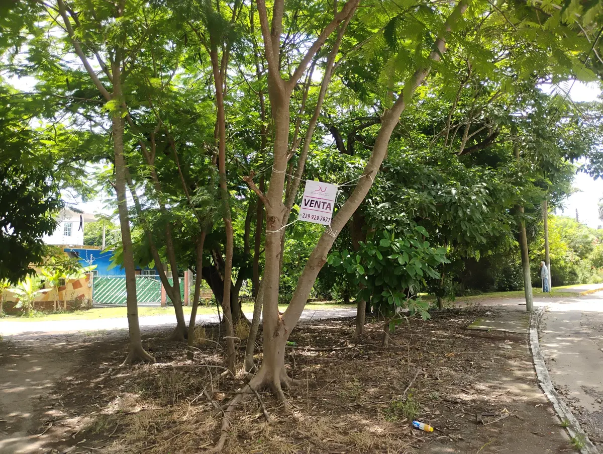 Terreno en venta en Buenavista, Veracruz — foto 1 de 12
