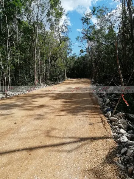 Terreno en venta en Ya Ax Tulum, Tulum — foto 2 de 12