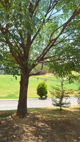 Terreno en venta en Bosque Real, Huixquilucan — foto 3 de 12