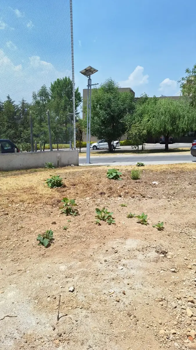 Terreno en venta en Bosque Real, Huixquilucan — foto 1 de 12