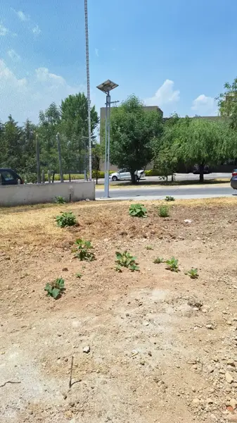 BAJA DE PRECIO exclusivo Terreno en Venta en Bosque Real junto al Campo Ejecutivo
