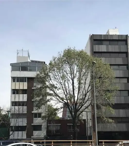 Terreno en venta en Insurgentes Mixcoac, Benito Juárez — foto 3 de 5
