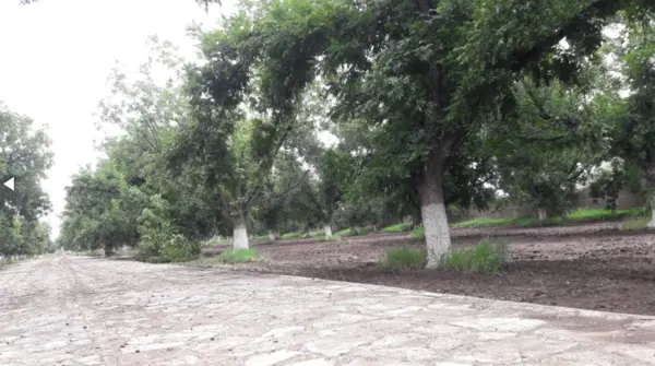 Terreno en venta en Santa Cruz Luján, Gómez Palacio — foto 3 de 14