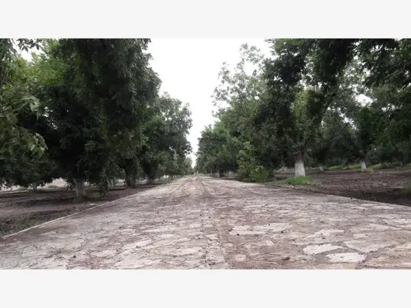 Terreno en venta en Santa Cruz Luján, Gómez Palacio — foto 2 de 14