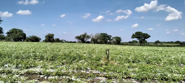 Finca-Rancho en venta en La Tinaja, Cotaxtla — foto 2 de 12