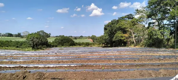 Finca-Rancho en venta en La Tinaja, Cotaxtla — foto 3 de 12