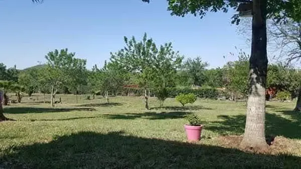 Terreno en venta en Loma Prieta, Montemorelos — foto 2 de 5