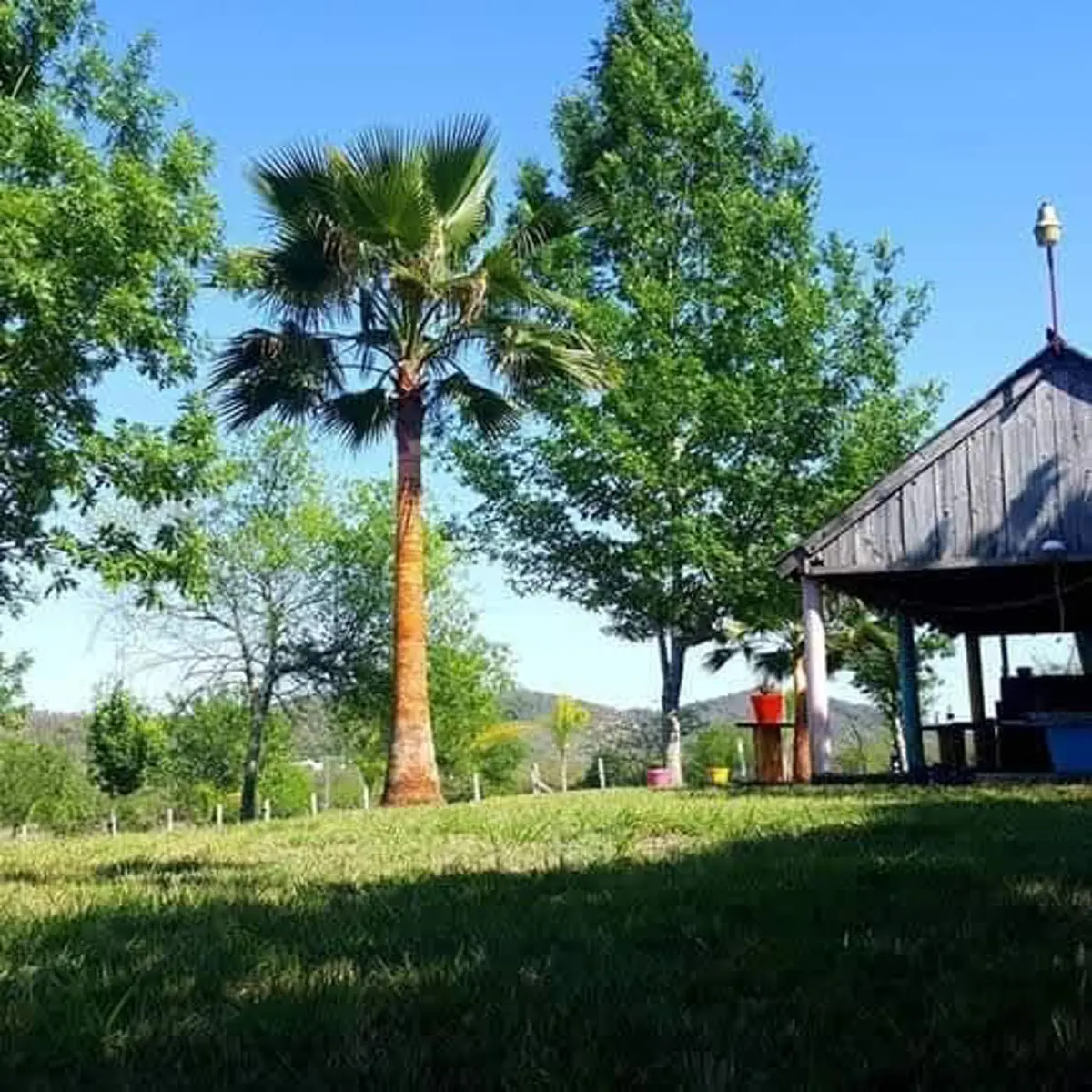 Terreno en venta en Loma Prieta, Montemorelos — foto 1 de 5