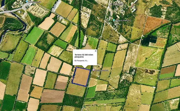 Terreno en venta en La Arena, Pesquería — foto 2 de 3