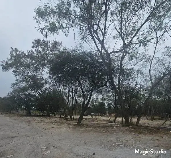 Terreno en renta en Burocratas Municipales, Apodaca — foto 2 de 3
