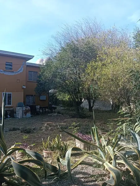 Casa en renta en Del Valle, San Pedro Garza García — foto 3 de 7