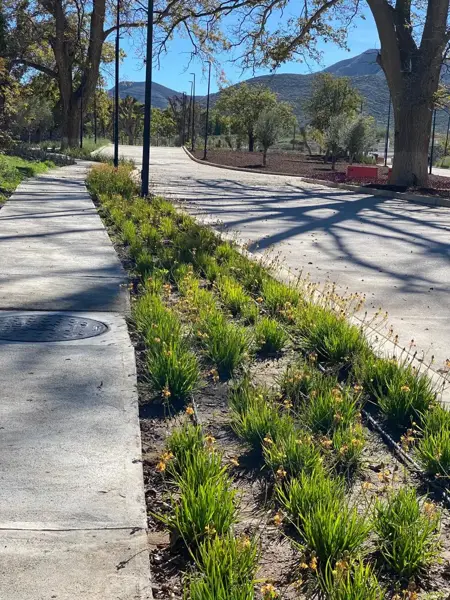 Terreno en venta en Tacubaya, Parras — foto 2 de 16